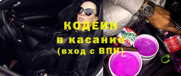хмурый Алзамай